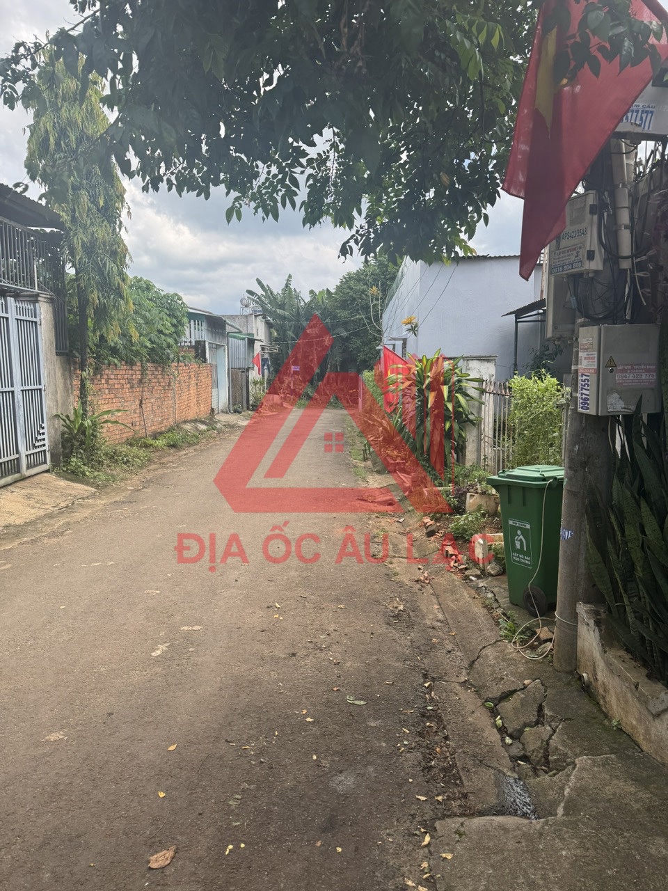 Ảnh phụ